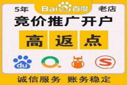 SEM广告投放中的数据监控与调整策略——以某品牌营销案例为例